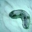 unknown_09.jpg